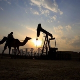 arab-oil-camel