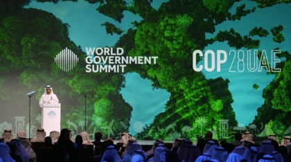 uae-cop29